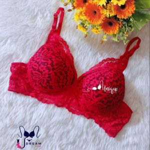 Export Quality Foam Net Bra for Girls and Women, Body Fitting Stylish and Comfortable Bra